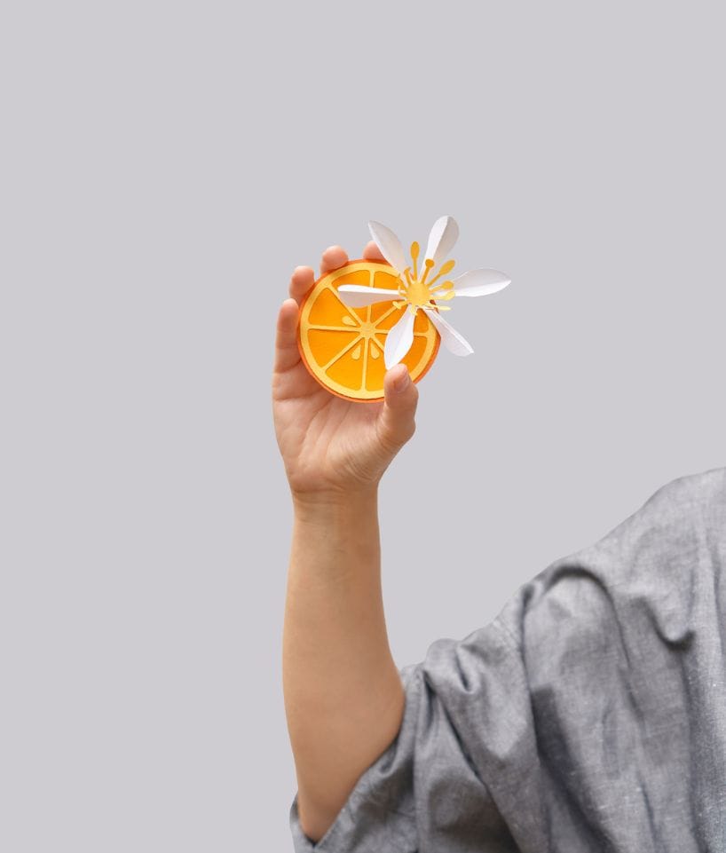 Cítrico de papel y cartón sostenido con la mano, diseño creativo y sostenible de Cartoncita