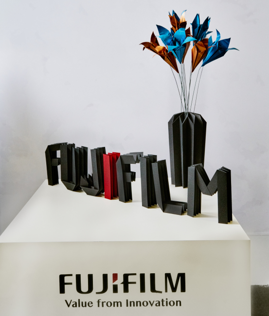 Fujifilm origami arte en papel Cartoncita