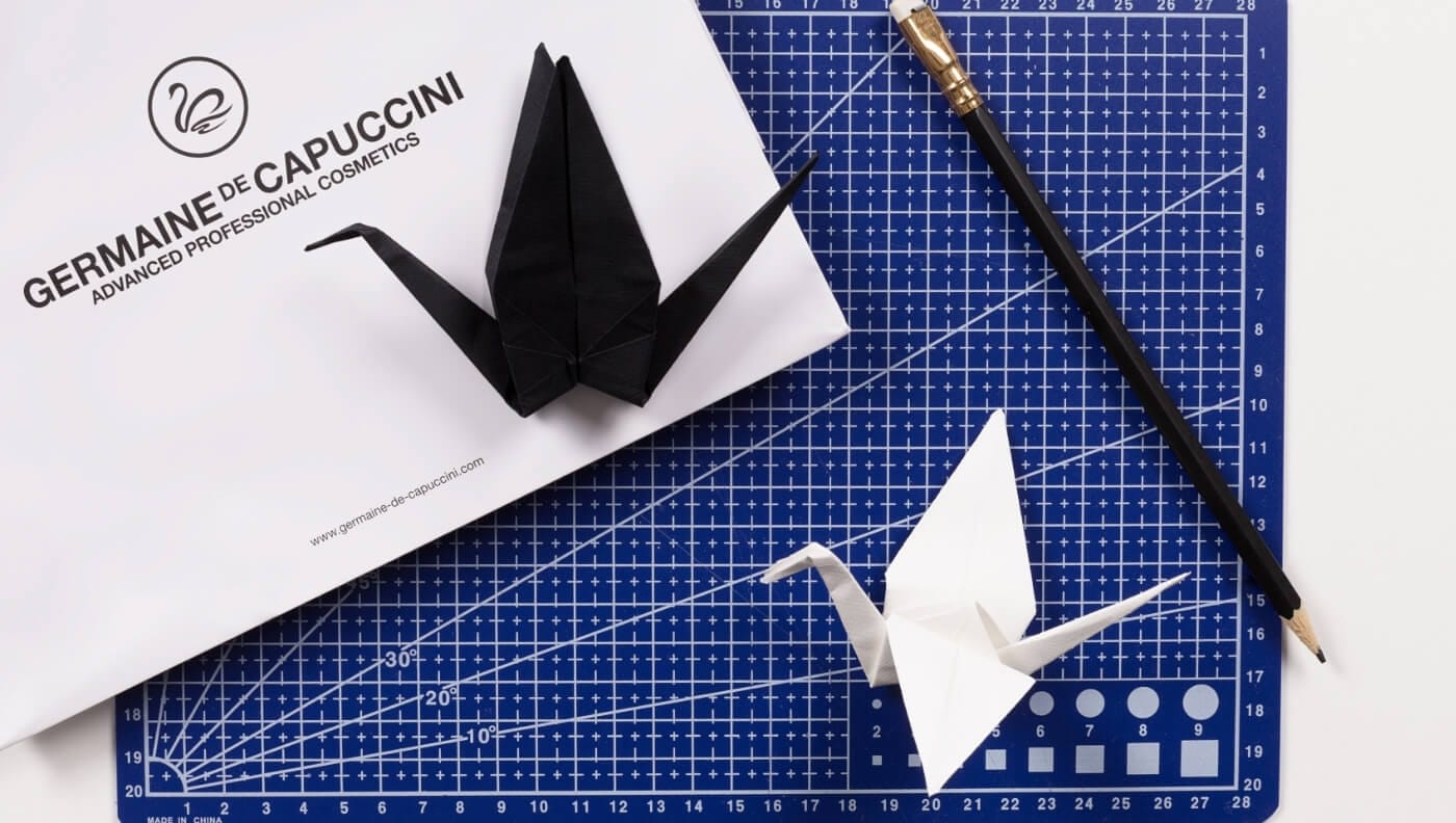 Pájaros arte en papel Germaine Capuccini