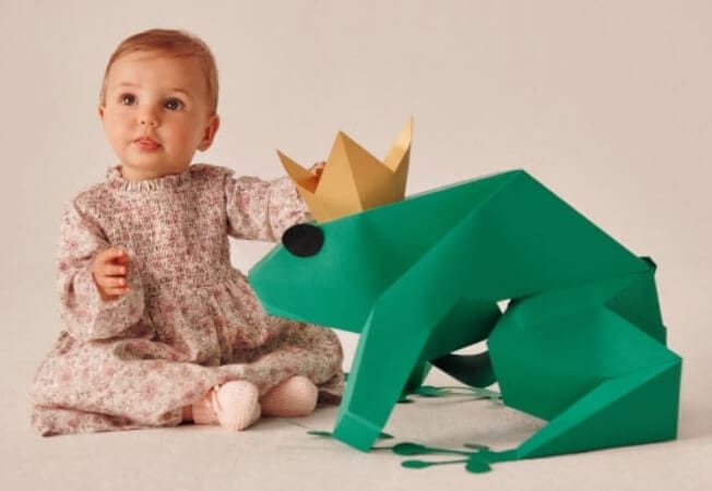 portada rana origami iana