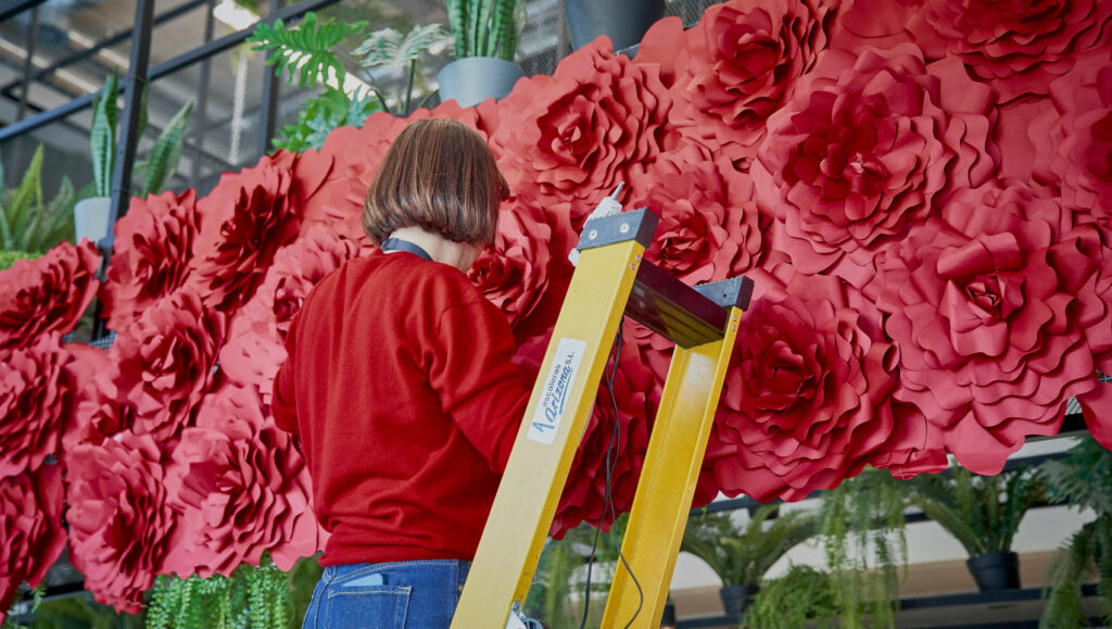 Rosas Sant Jordi 2025 Cartoncita