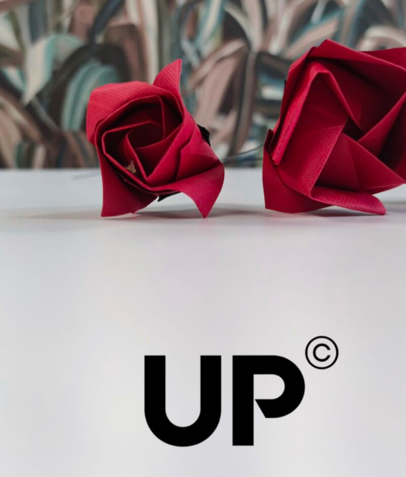 up flores rosas Sant Jordi arte en papel